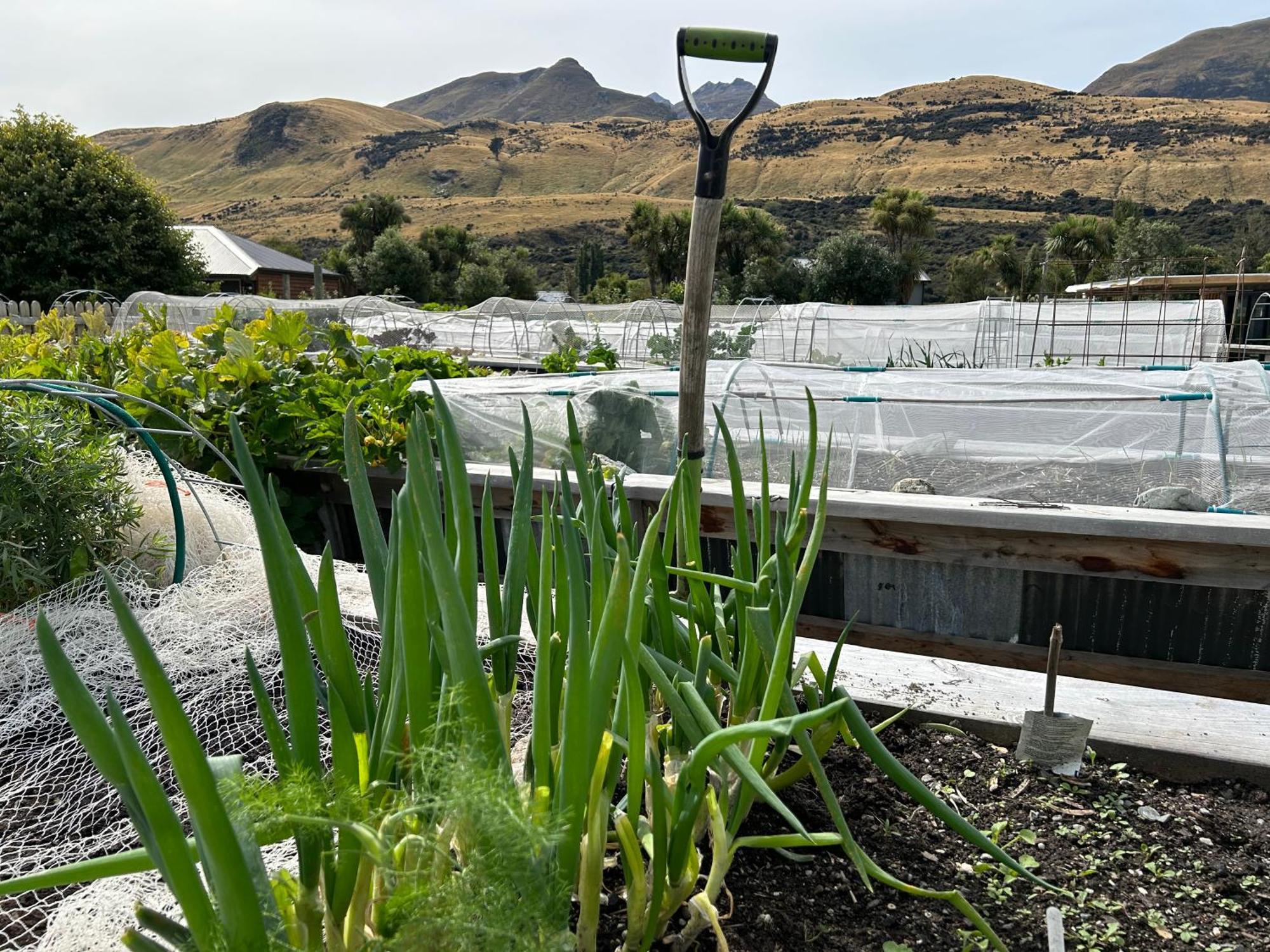 The Headwaters Eco Lodge Glenorchy Exterior photo